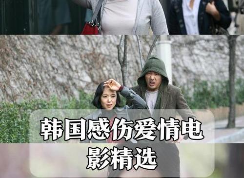 韩国娱乐圈短命婚姻：当爱情遇上镜头，结局难预料